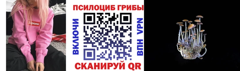 Галлюциногенные грибы мицелий Невинномысск